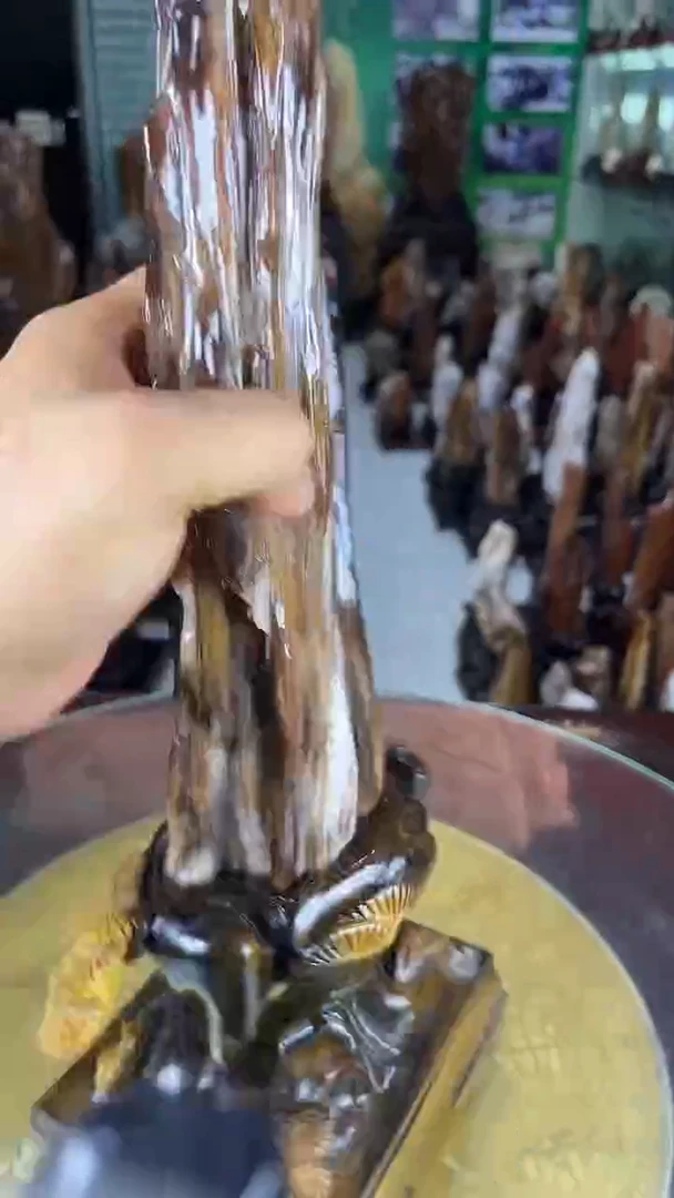 未镶嵌珠宝奇石硅化玉缅甸天然树化玉摆件