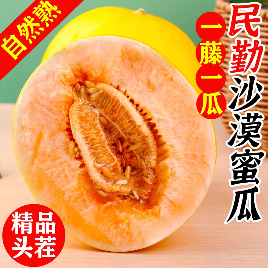 正宗民勤蜜瓜黄河蜜瓜皮薄肉厚香甜多汁新鲜水果沙漠生长的蜜瓜