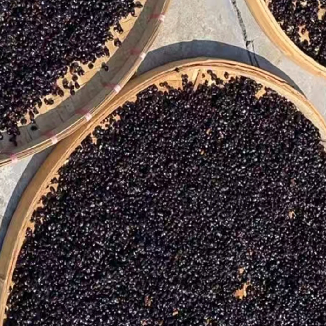 梓山特产无添加风味纯天然干豆豉农产品土特产