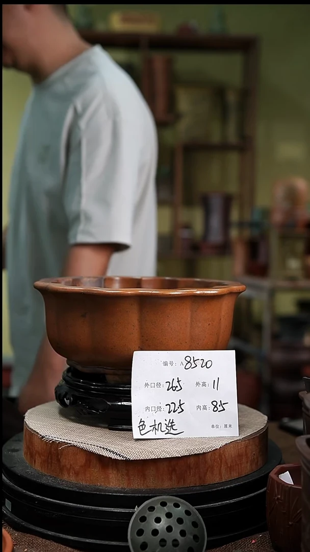 紫砂花盆花卉园艺8520+s