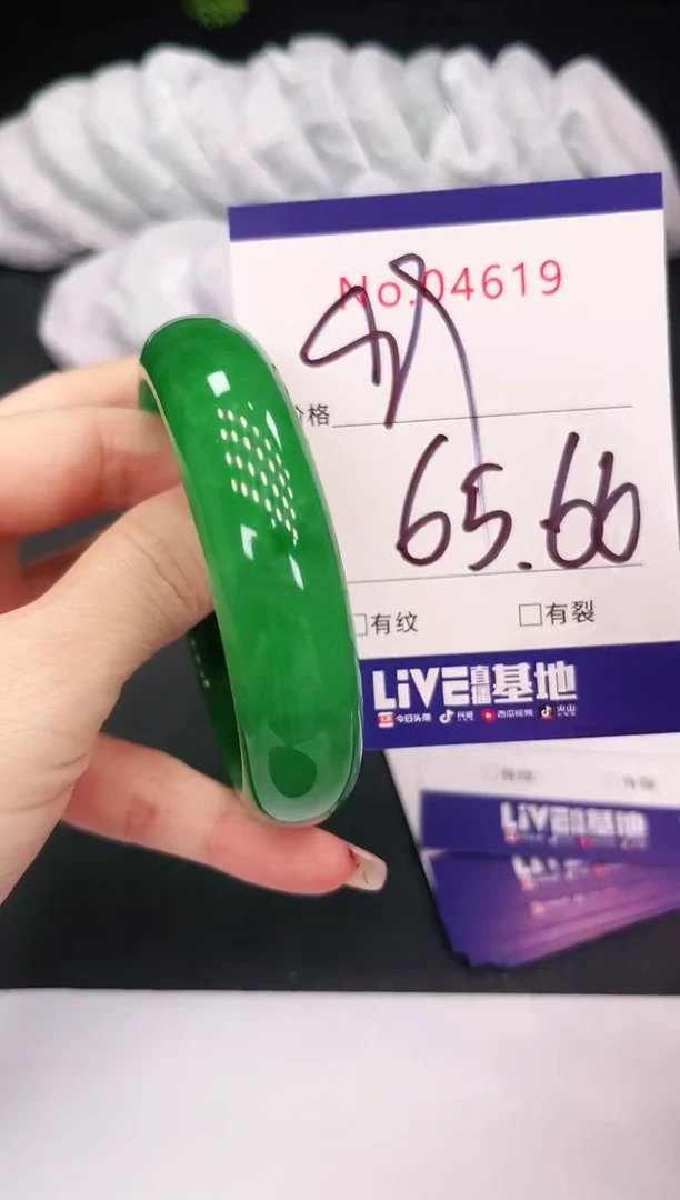 未镶嵌手镯翡翠4619