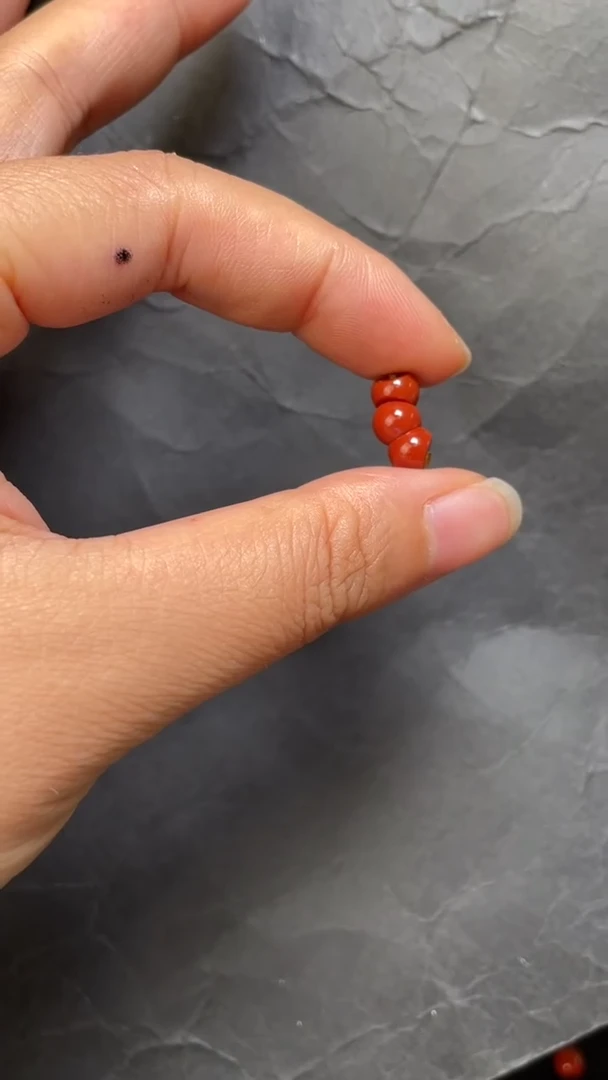 未镶嵌142南红玛瑙配饰---6+