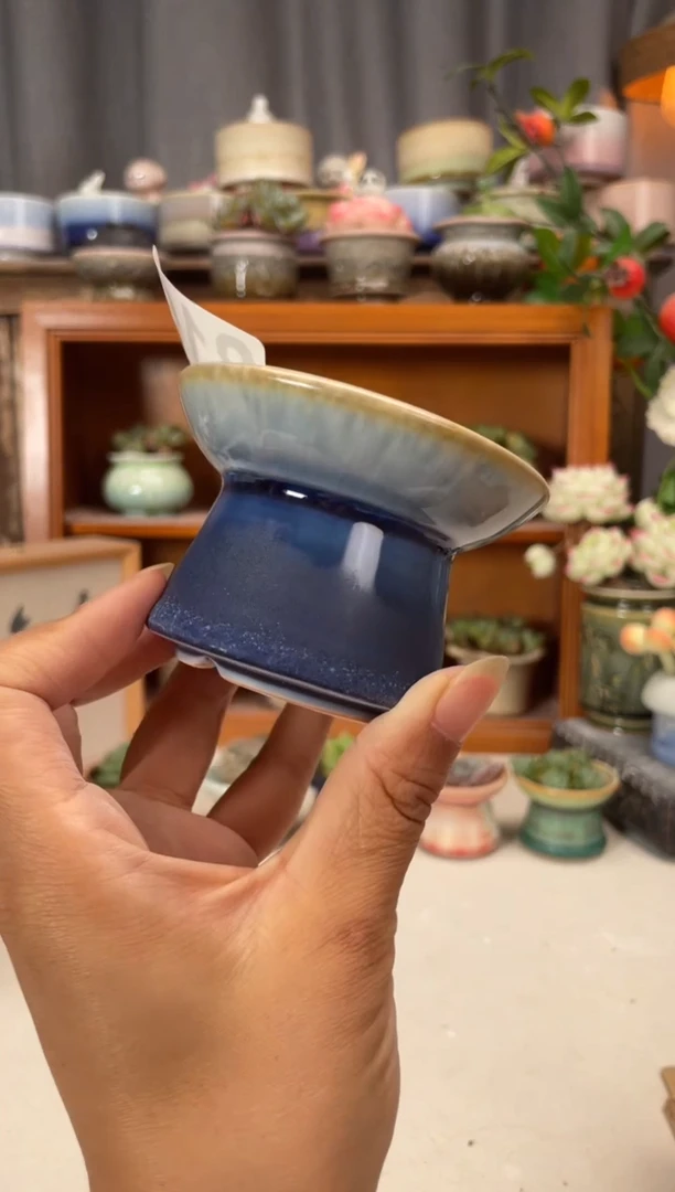 瓷片816知木小芳花盆直播编号