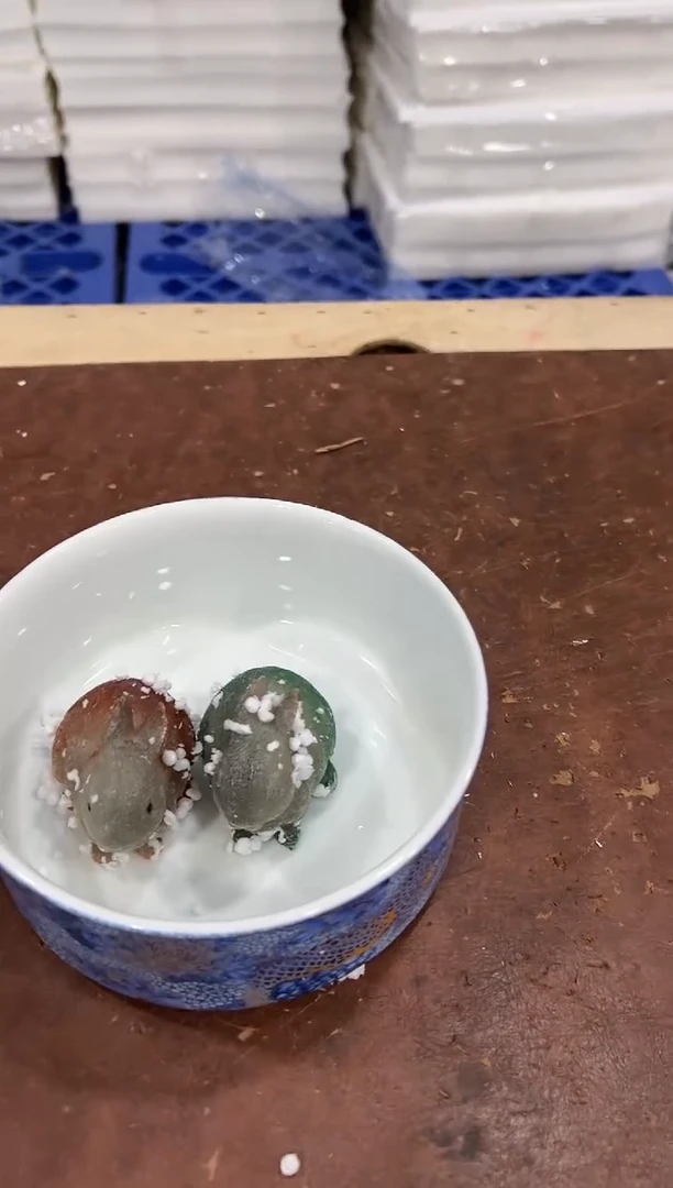 其他 @@@@@@@@@@@无礼盒