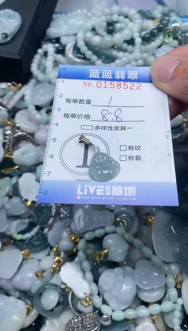 【闪购商品】翡翠颈饰未镶嵌闪购0158522