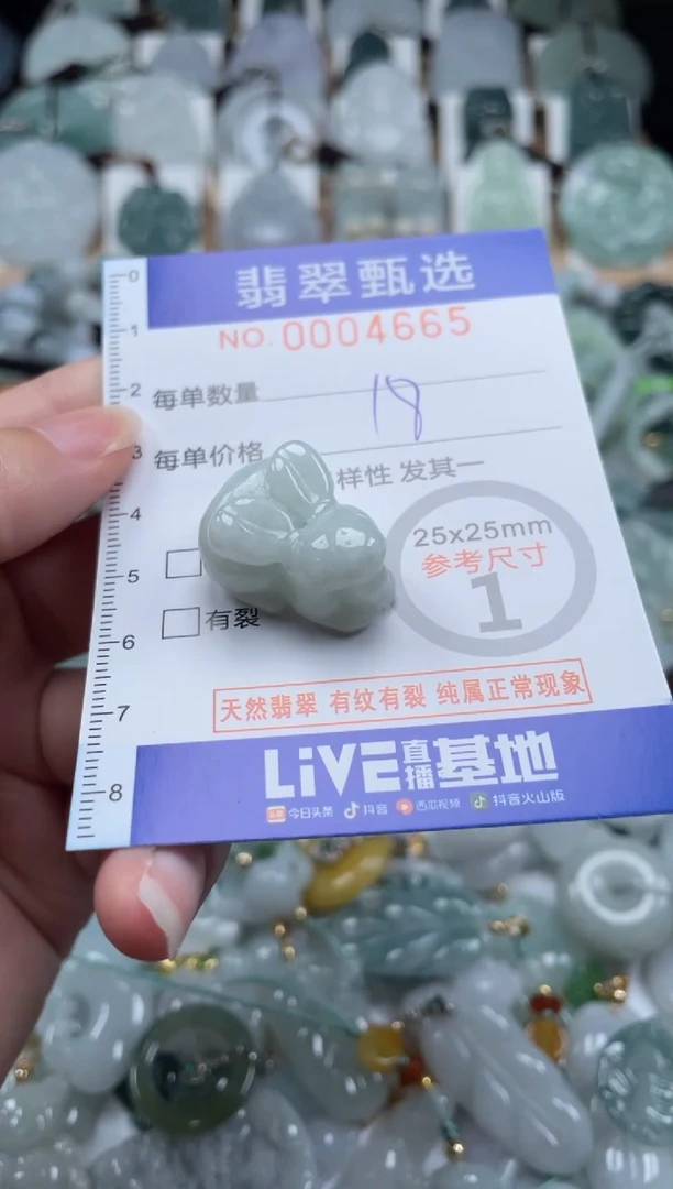 翡翠未镶嵌颈饰00..4665