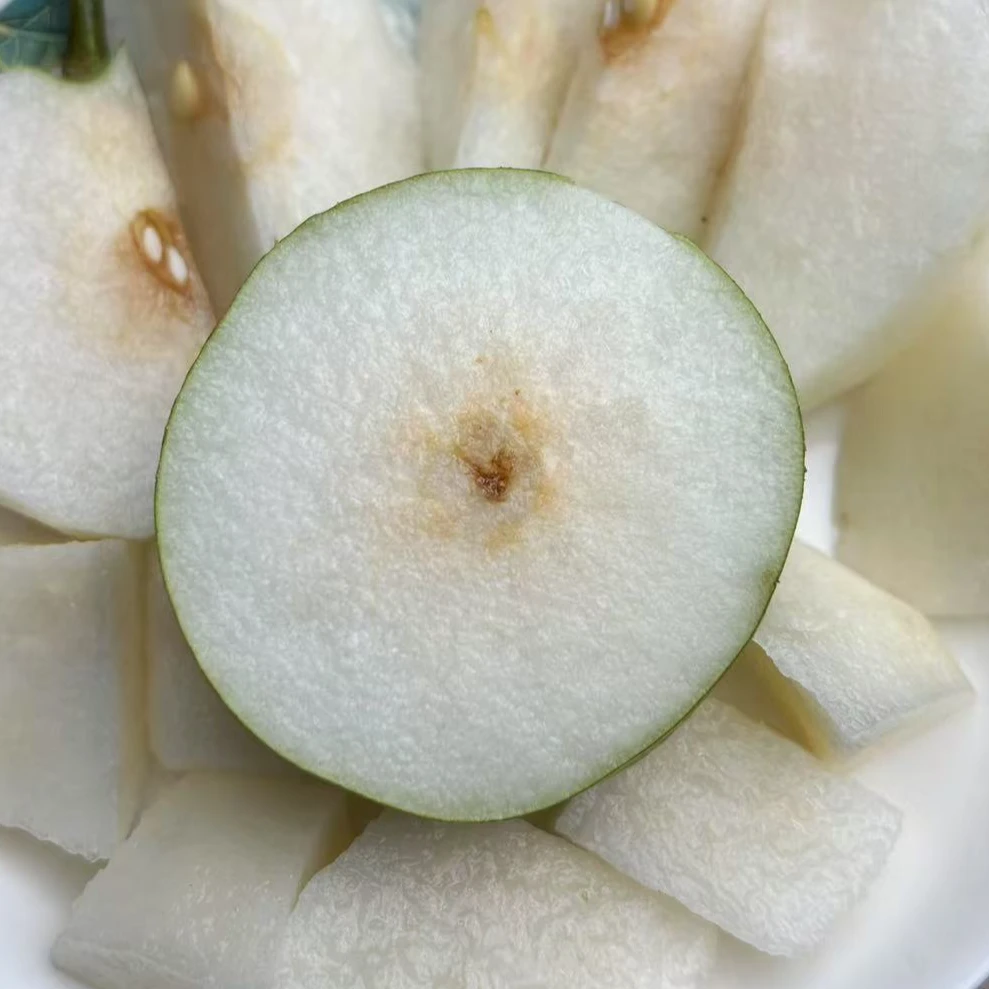 【翠冠梨】重庆万州翠冠梨，树上自然成熟（中果）