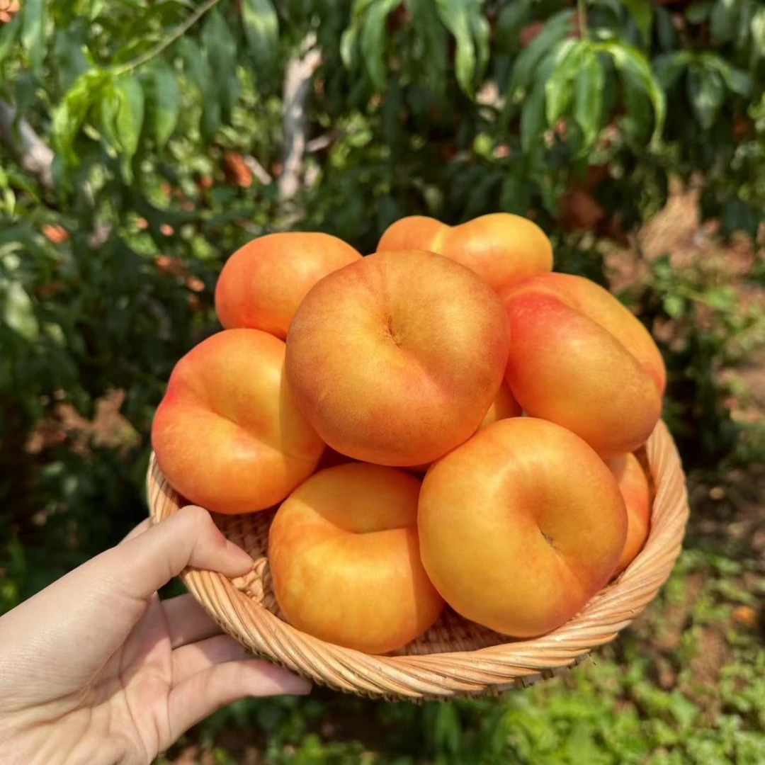 【顺丰包邮】枣阳桃之乡头茬黄油蟠桃 露天种植现摘现发 超香超甜
