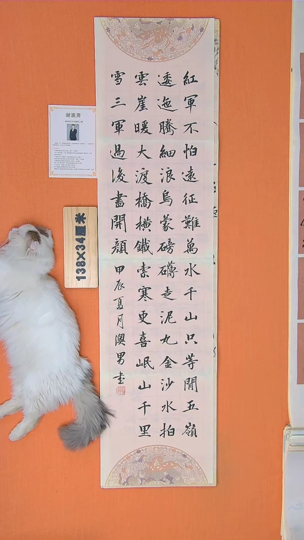 书法谢老师书法作品138*34七律