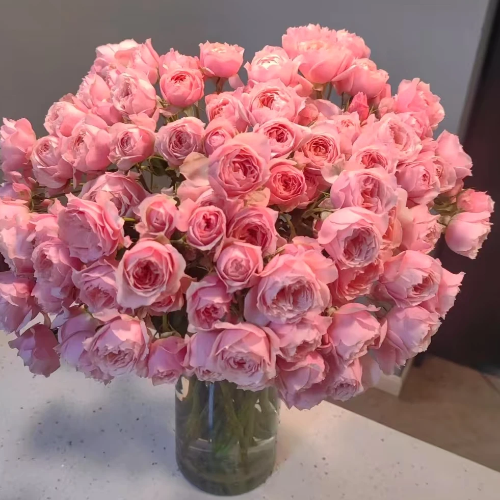 【一品花集】【缘】多头玫瑰 云南昆明基地直发家用鲜花