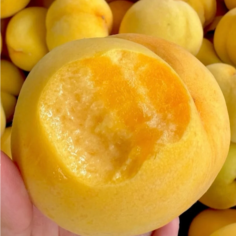 大黄桃 3.8元一斤 10元三斤黄桃同城送山东省