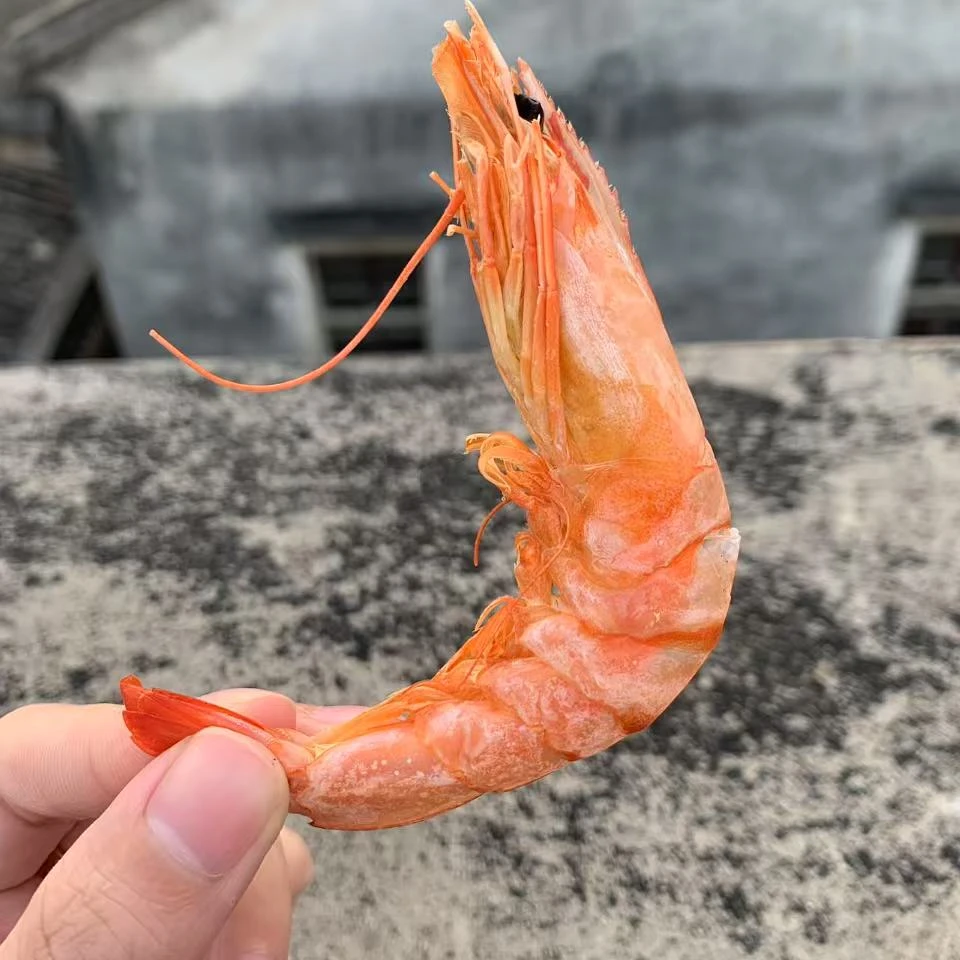 特大号 （70只左右）汕尾虾干开袋即食