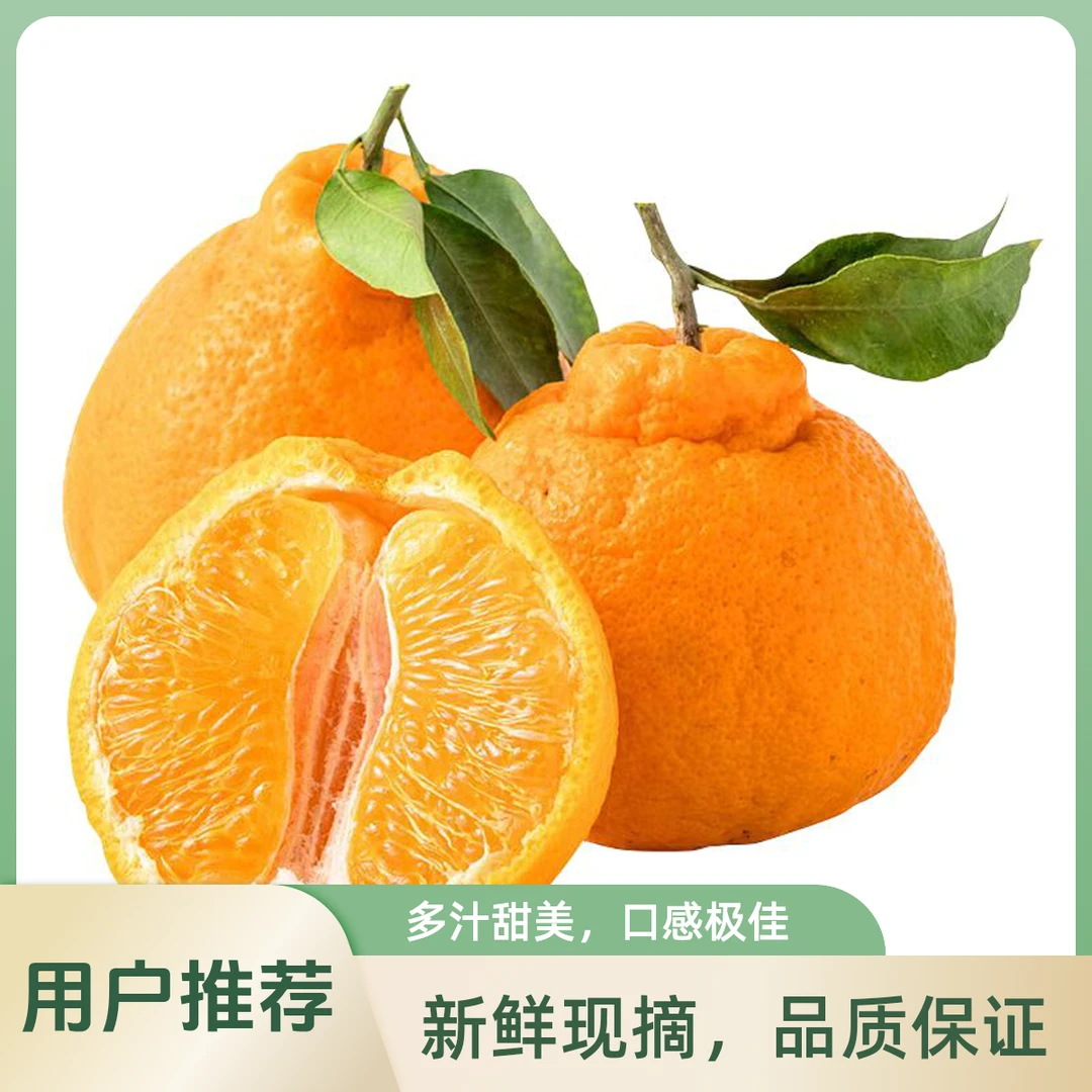 （产地直发）正宗四川眉山春见耙耙柑