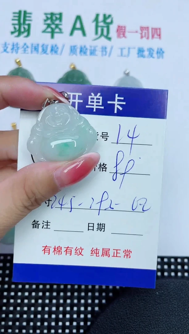 翡翠未镶嵌吊坠(赠链)14