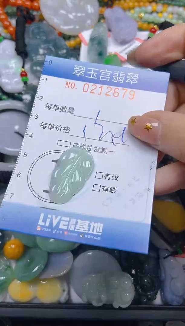 颈饰未镶嵌翡翠闪购C0212679