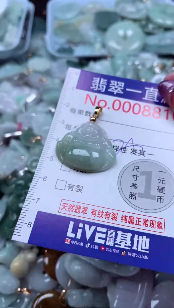 翡翠未镶嵌吊坠(不含链)8810