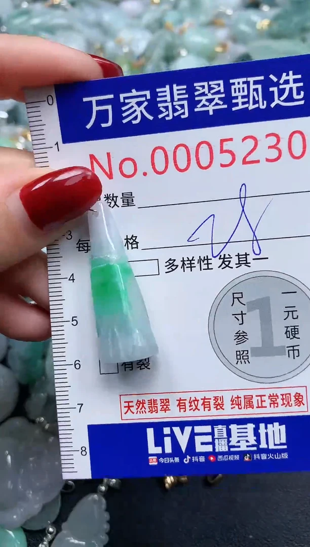 颈饰未镶嵌翡翠5230