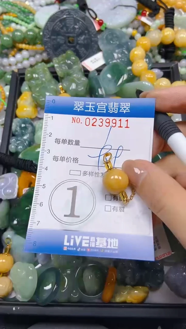 颈饰未镶嵌翡翠闪购C0239911