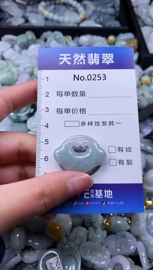 【闪购商品】翡翠颈饰未镶嵌缅甸A货翡翠0253