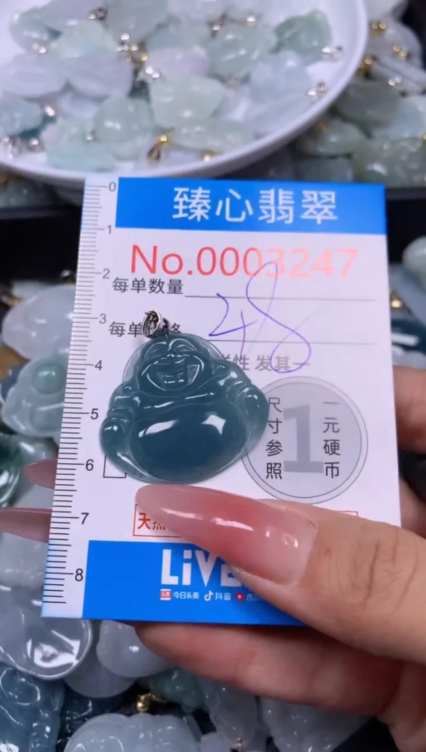 【闪购商品】翡翠颈饰未镶嵌含绳0003247