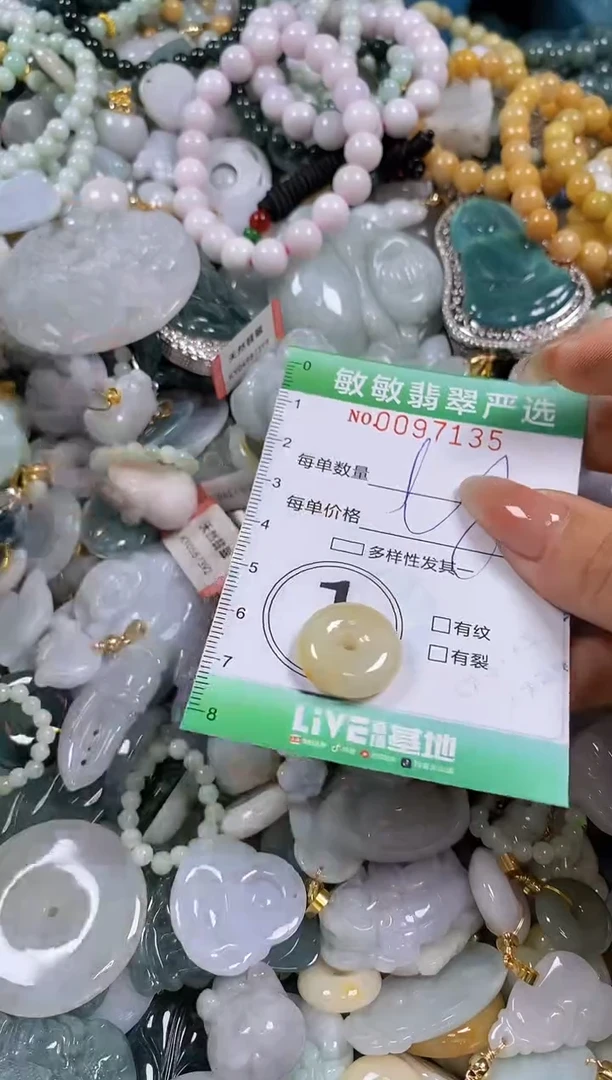 【闪购商品】翡翠颈饰未镶嵌闪购0097135