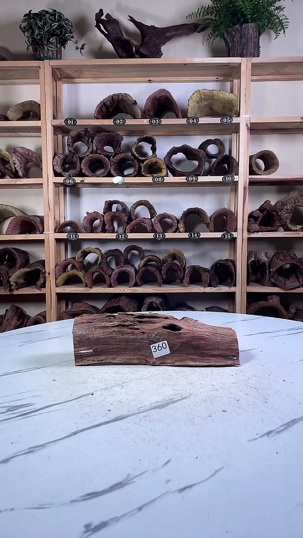 窝****蛋云南紫柚木造景沉木360