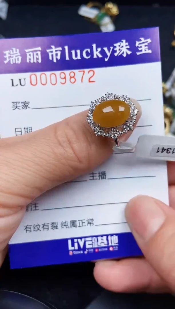 翡翠银S925镶嵌颈饰9872