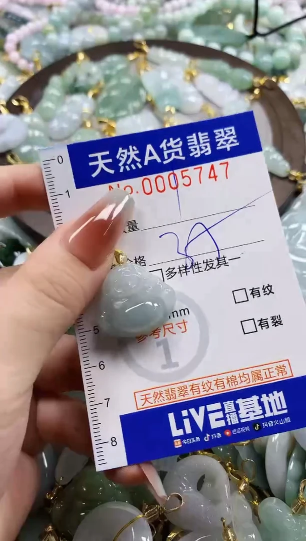 颈饰未镶嵌翡翠天然A货翡翠