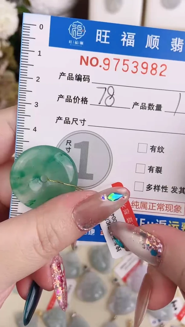 【闪购商品】翡翠颈饰未镶嵌独龙玉天山翠品质颈饰配绳带礼盒