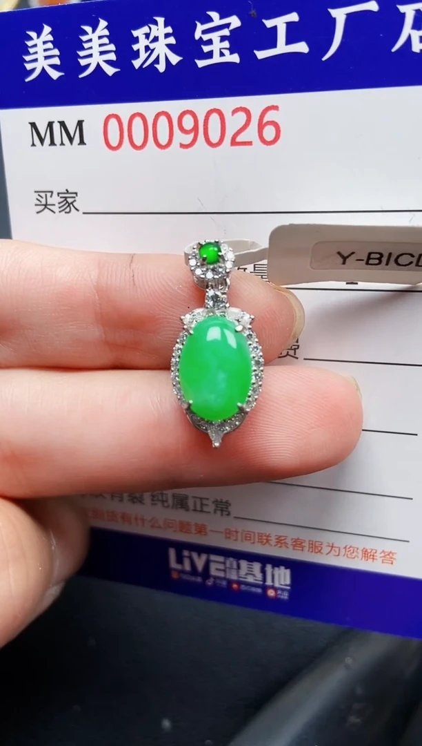 翡翠银S925镶嵌颈饰9026