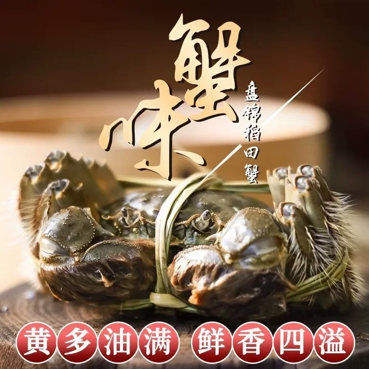 【活蟹】盘锦 河蟹 鲜活稻田母河蟹 1.0-1.3两/只20只 辽宁产地直发