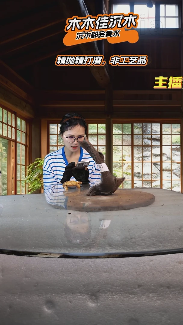 u****2木木佳鱼缸造景沉木-741