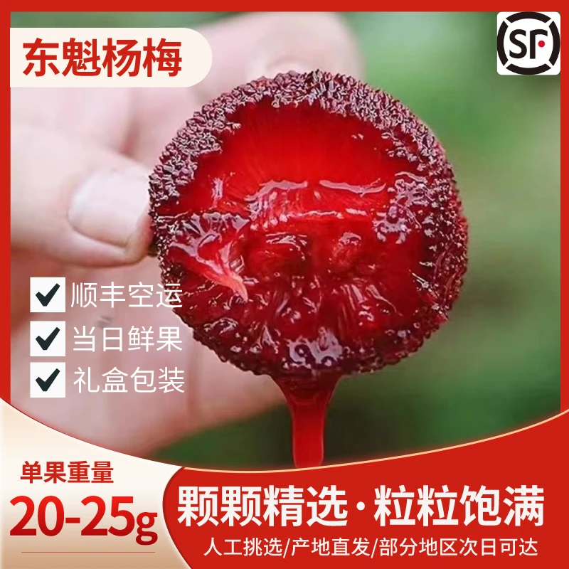 【9A东魁杨梅】福建露天种植顺丰空运冷链发货颗粒装礼盒