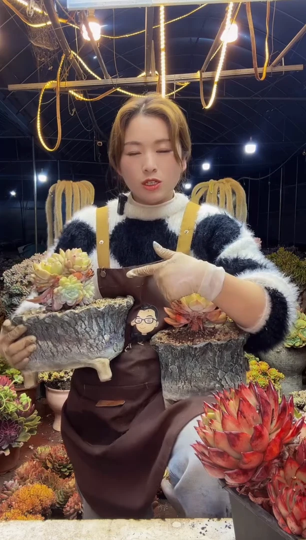 【闪购商品】橙梦露2两颗一物一拍（包邮）