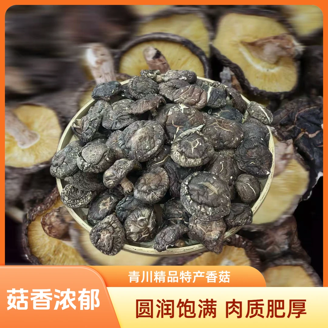 (蕊洪)青川精品椴木香菇干货200g肉厚饱满煲汤食用佳品干香菇