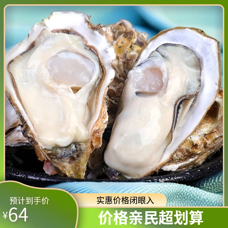 【中号】连云港发货生蚝当天捕捞鲜活发货4.5斤顺丰包邮食用包售后