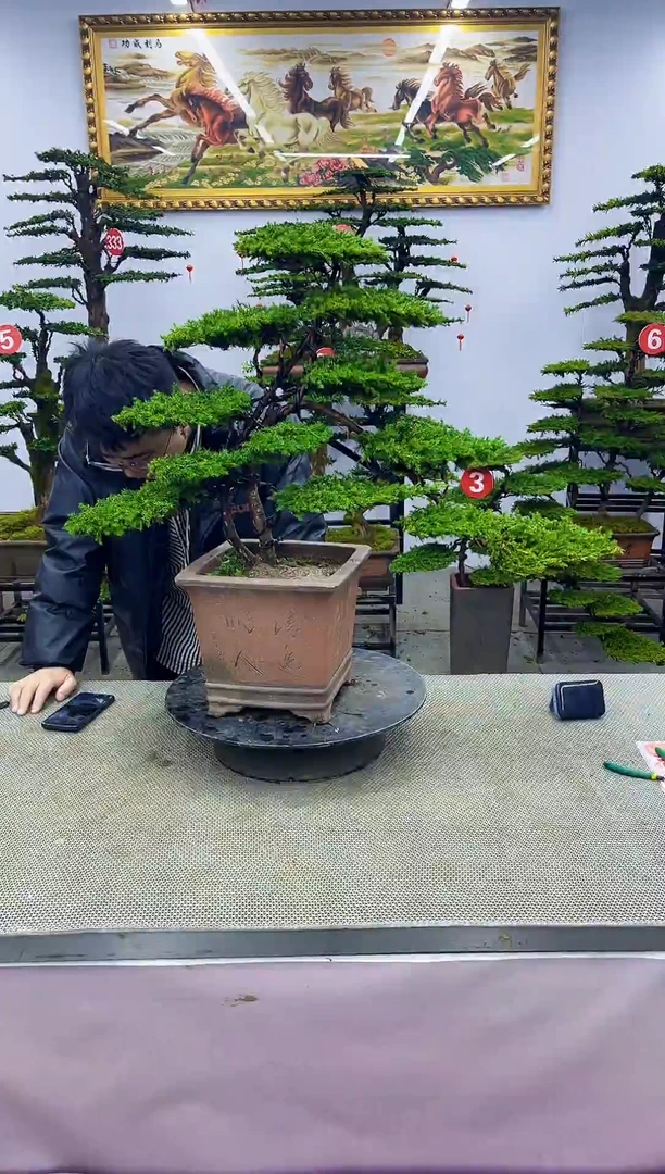 【闪购商品】一物一拍，所见即所得一物一拍，所见即所得