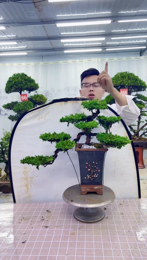 一物一拍，所见即所得