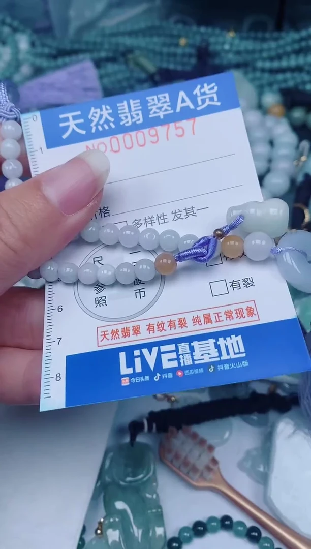 颈饰未镶嵌翡翠00009757