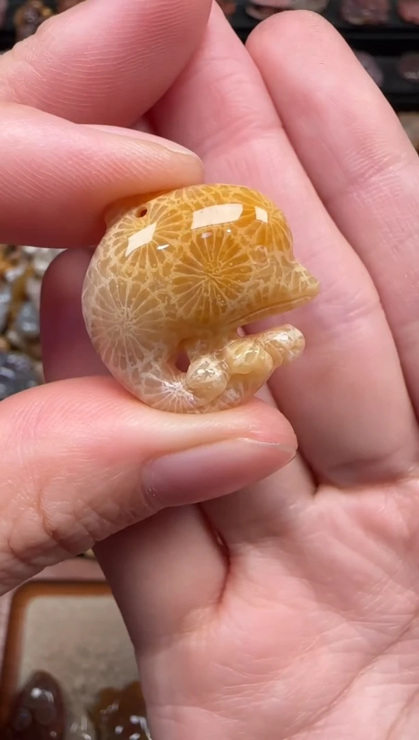 颈饰未镶嵌硅化珊瑚（珊瑚玉）795