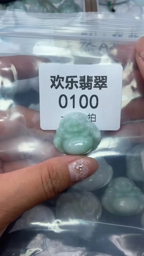 颈饰未镶嵌翡翠缅甸天然翡翠0100