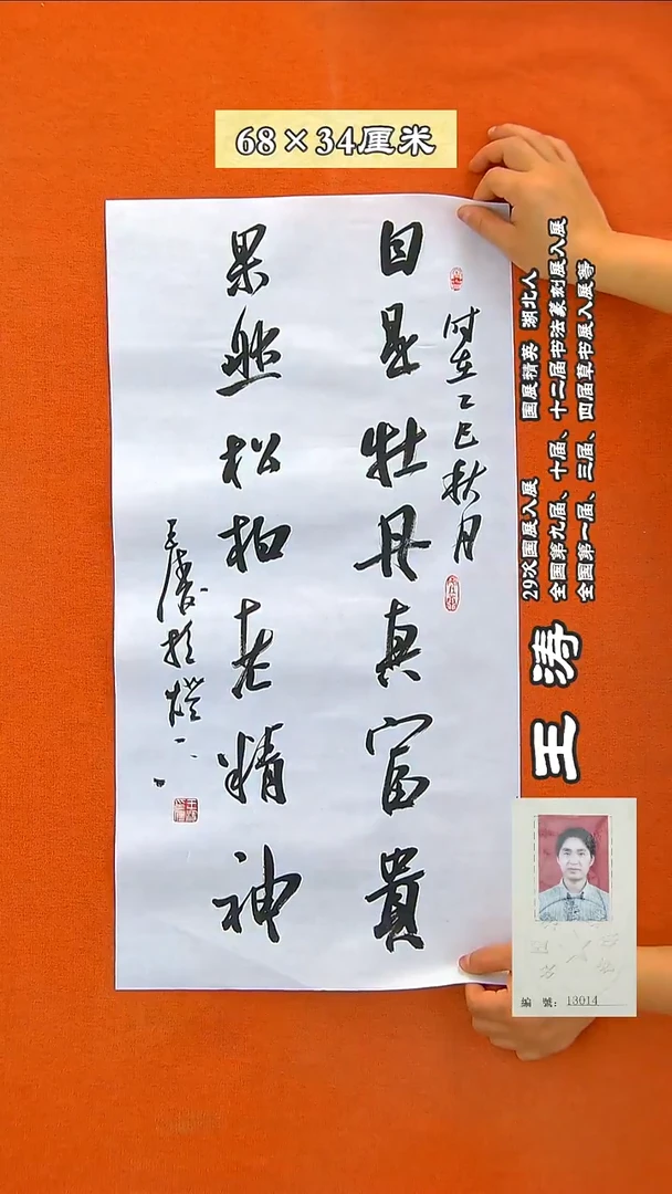 书法211R王涛书法作品