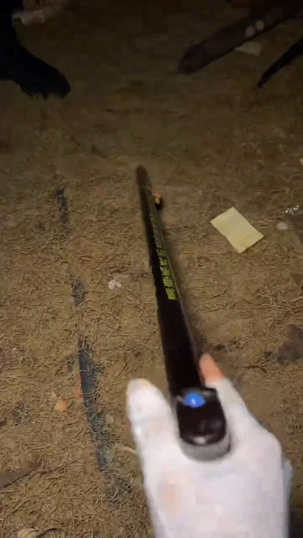木高端精美福利专用链接