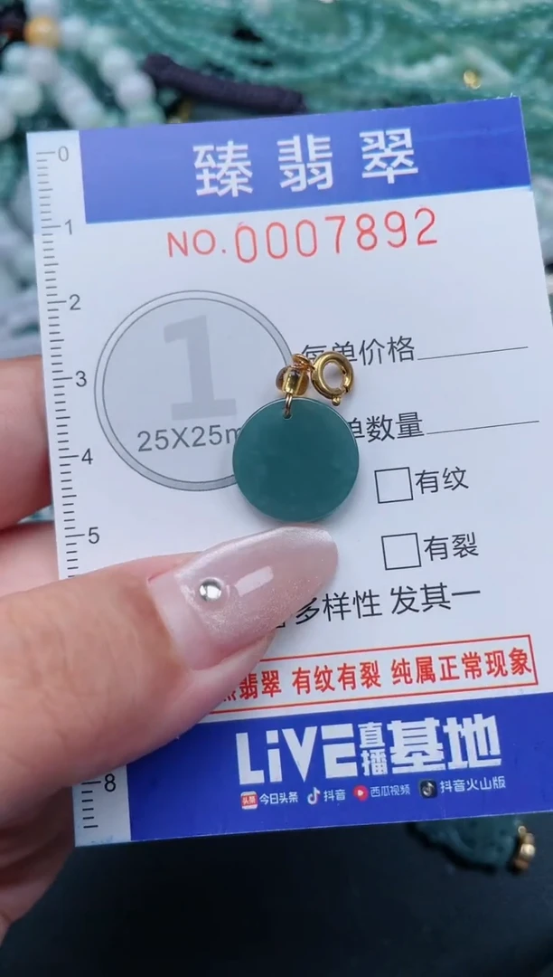 翡翠未镶嵌颈饰.0007892