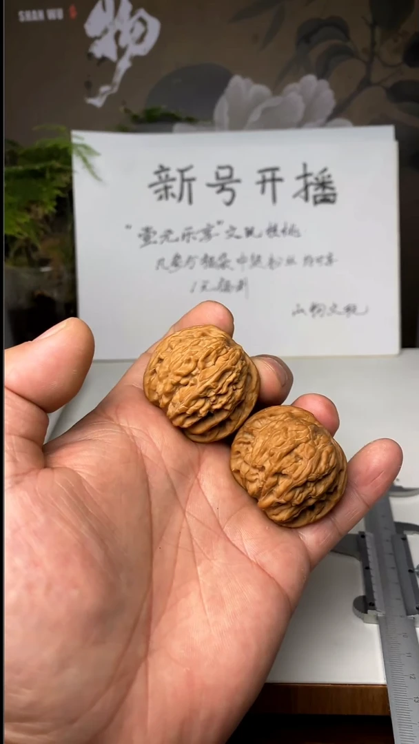 吊坠龙脊菩提五**木磨盘NQUANPIN88889