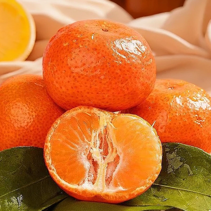 广西沙糖桔中果【现货速发】3斤沙糖桔广西壮族自治区
