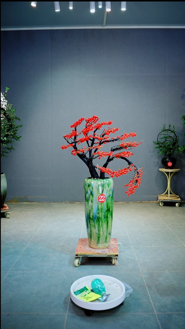 当前无花朵，栽培后可花朵B***n一物一拍绿植