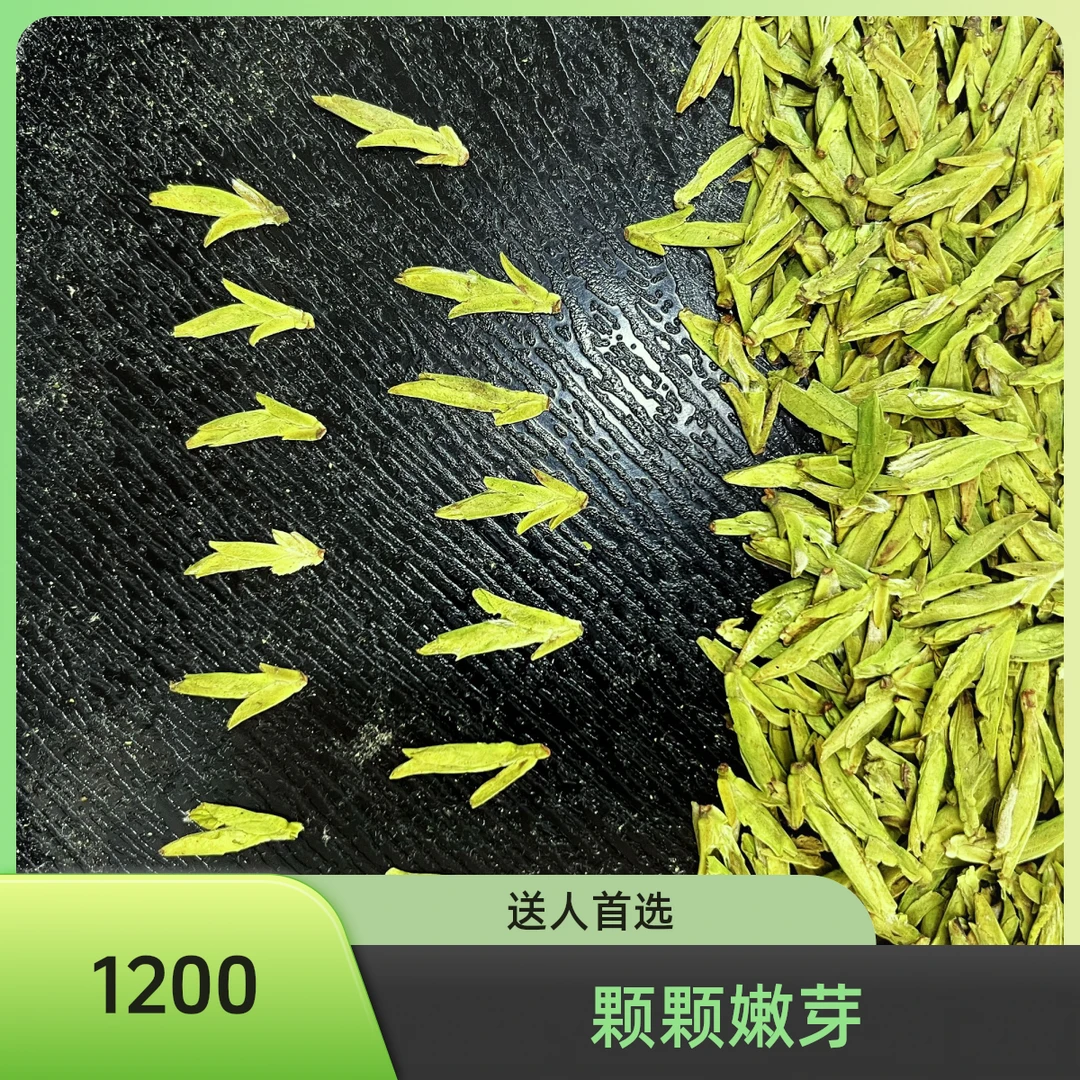 2025年明前嵊州龙井一芽一叶高档嫩芽高山豆香型浓郁鲜爽回甘1200