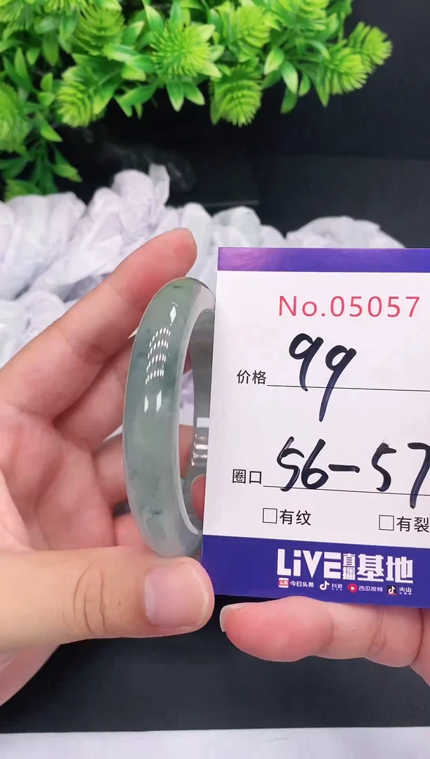 未镶嵌手镯翡翠5057