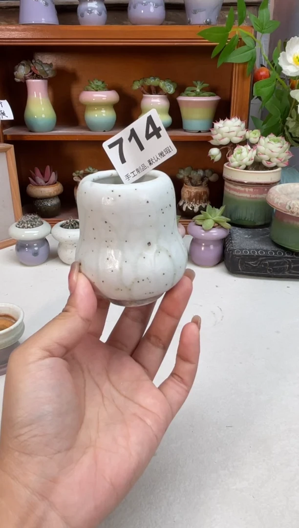 瓷片714瑕疵知木小芳花盆